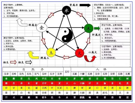 天干 陰陽